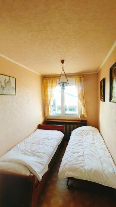 La Cambresienne De Mamie Villa Камбре Екстериор снимка